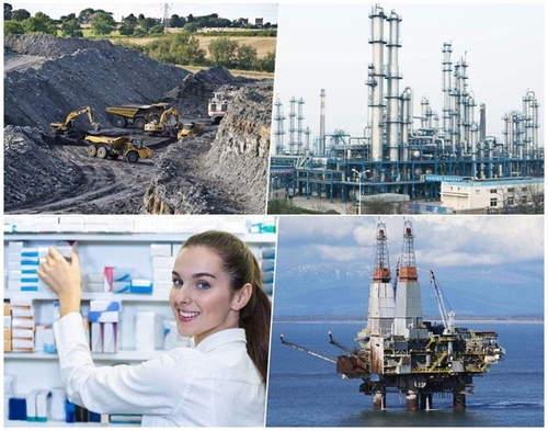 Latest company news about Más allá de lo básico: aplicaciones innovadoras de malla de alambre de acero inoxidable en industrias modernas
